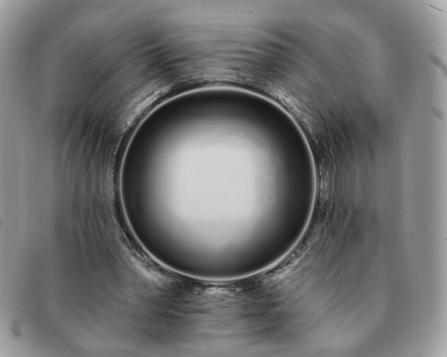 X0000091310390200708171421