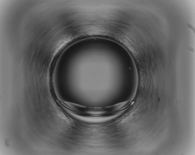 X0000091310391200708171421