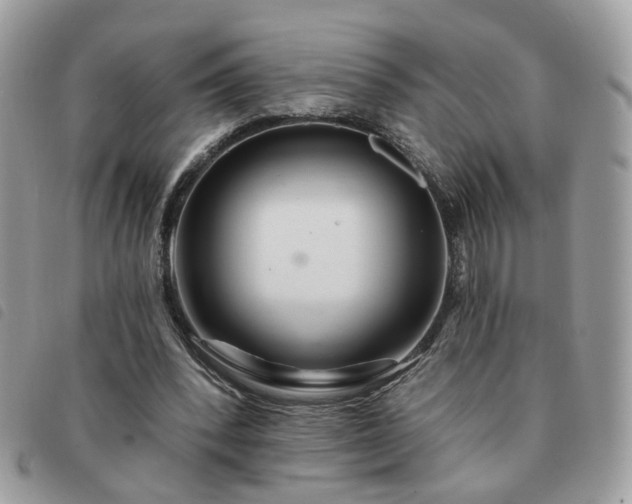 X0000091310392200708171421