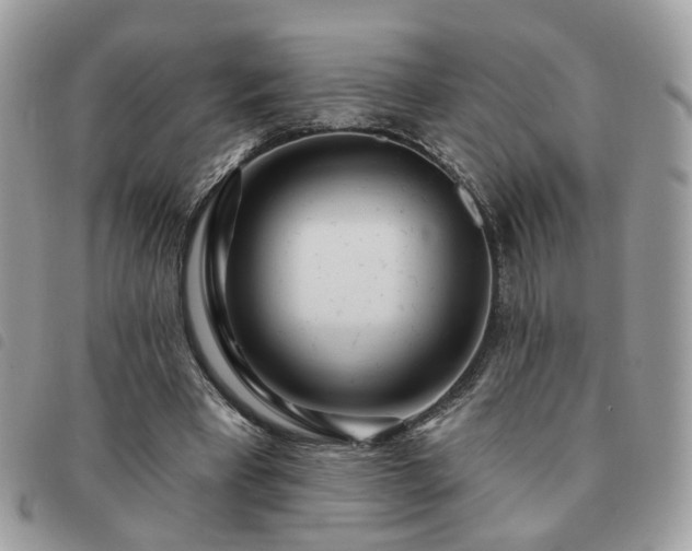 X0000091310393200708171421