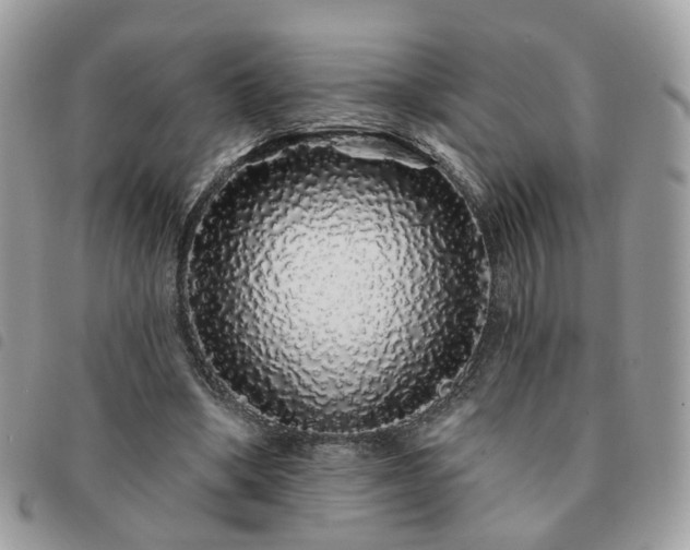 X0000091310394200708171421