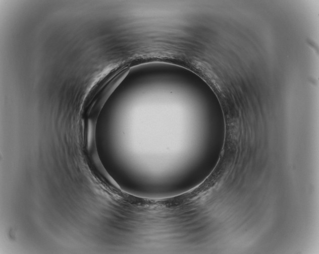 X0000091310395200708171421