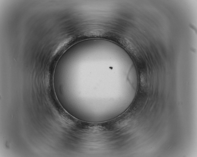 X0000091310396200708171421