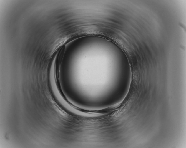 X0000091310397200708171421