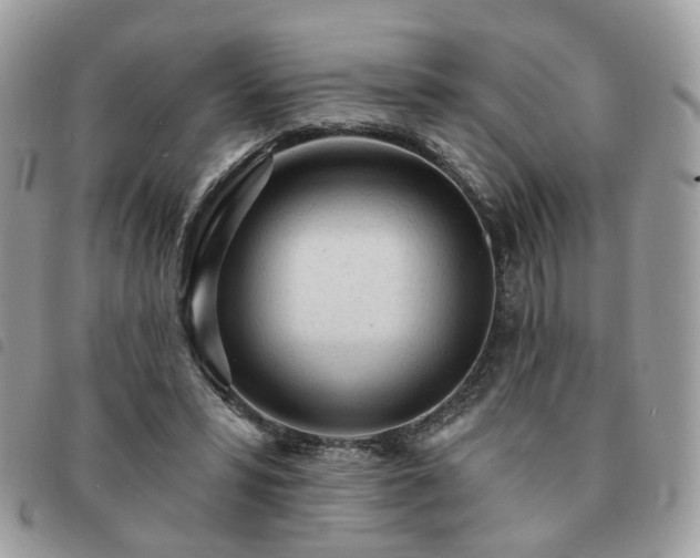 X0000091310399200708171421