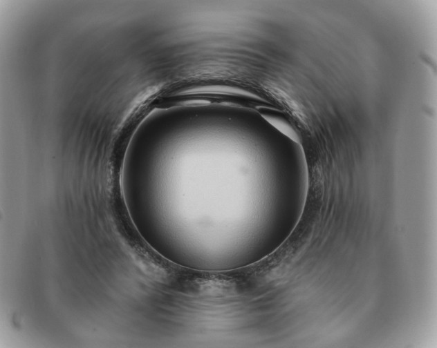 X0000091310400200708171421