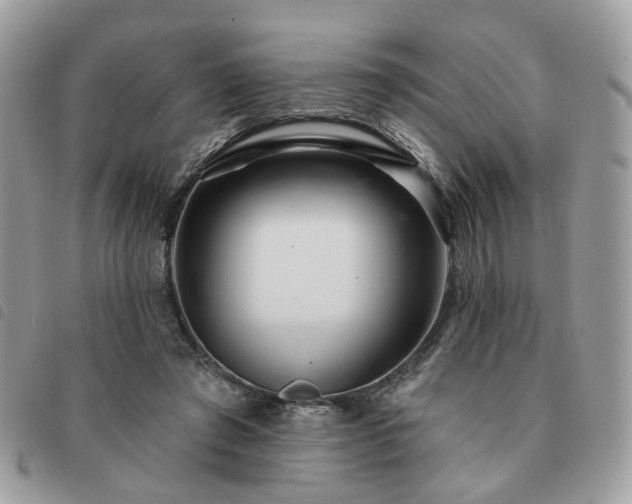 X0000091310401200708171421