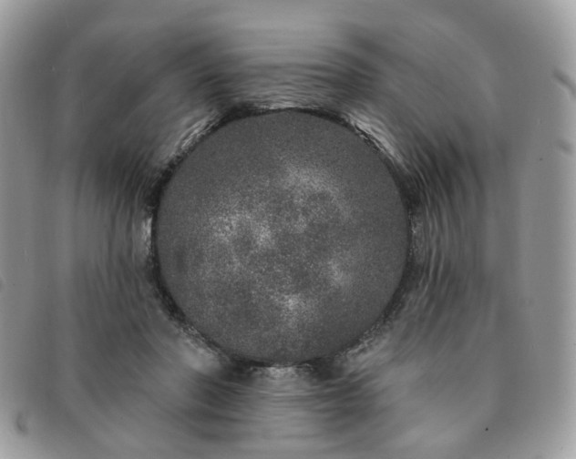 X0000091310406200708171421