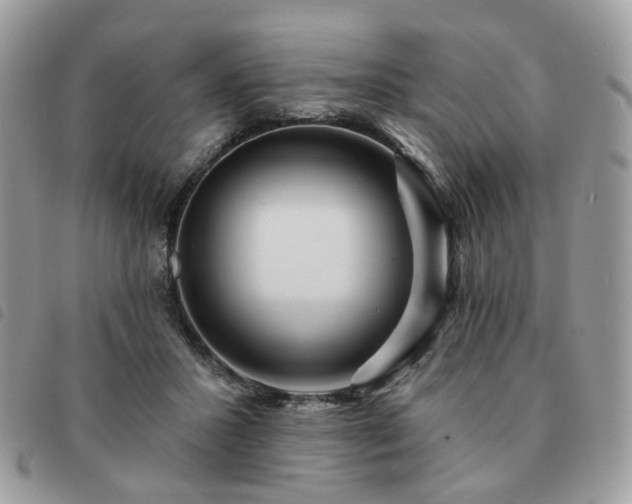 X0000091310407200708171421