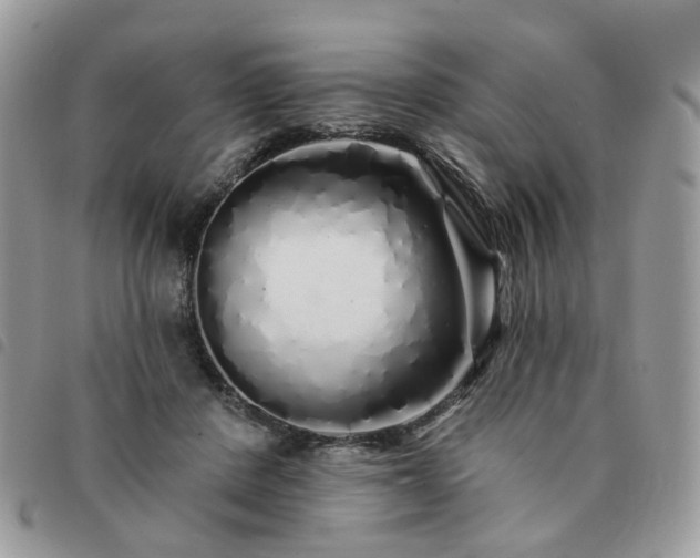 X0000091310408200708171421