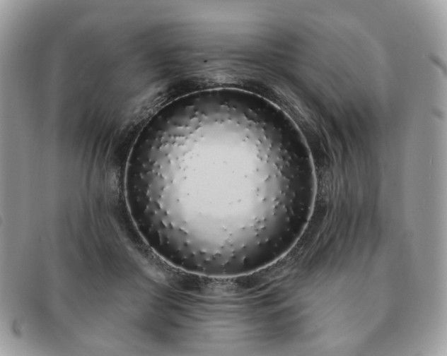 X0000091310410200708171421