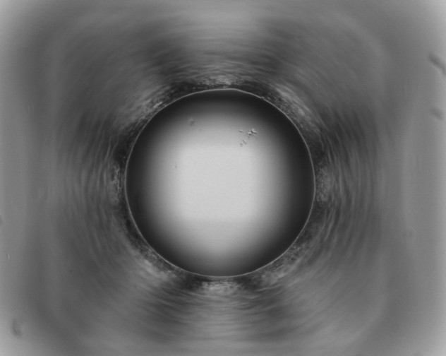 X0000091310414200708171420