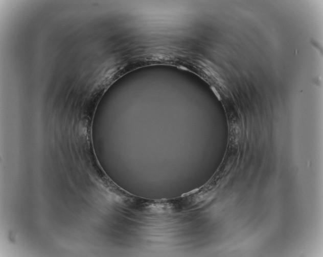 X0000091310415200708171420