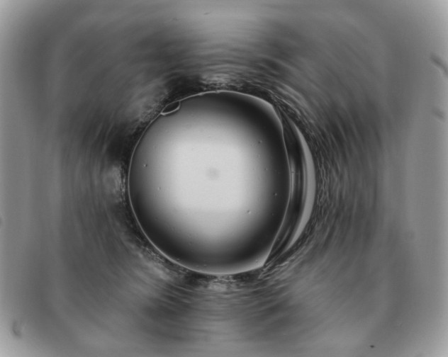 X0000091310420200708171420