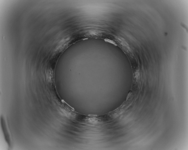 X0000091310423200708171420