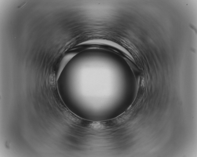 X0000091310425200708171420