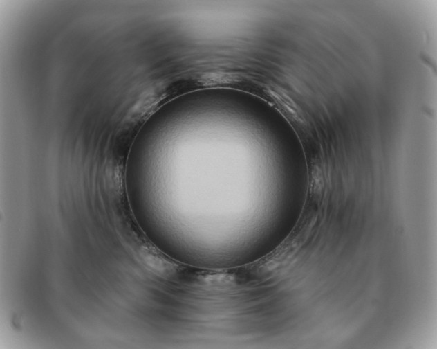 X0000091310426200708171420