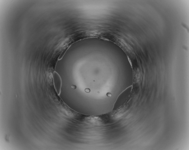 X0000091310427200708171420