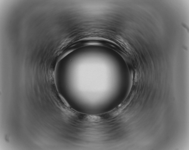 X0000091310429200708171420