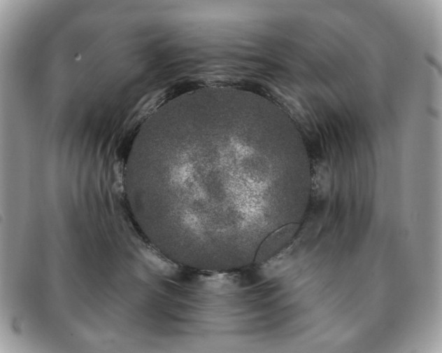 X0000091310430200708171420