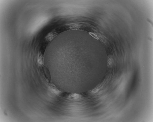 X0000091310431200708171420