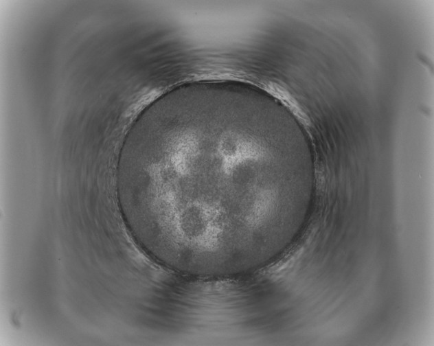 X0000091310433200708171419