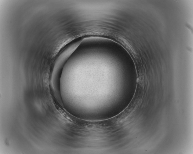 X0000091310434200708171419