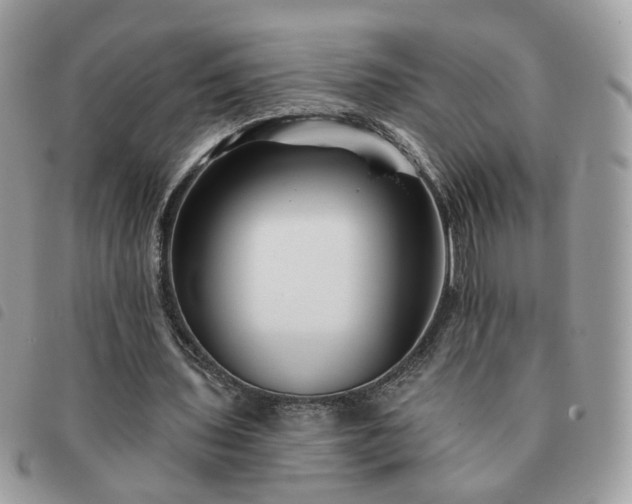 X0000091310435200708171419