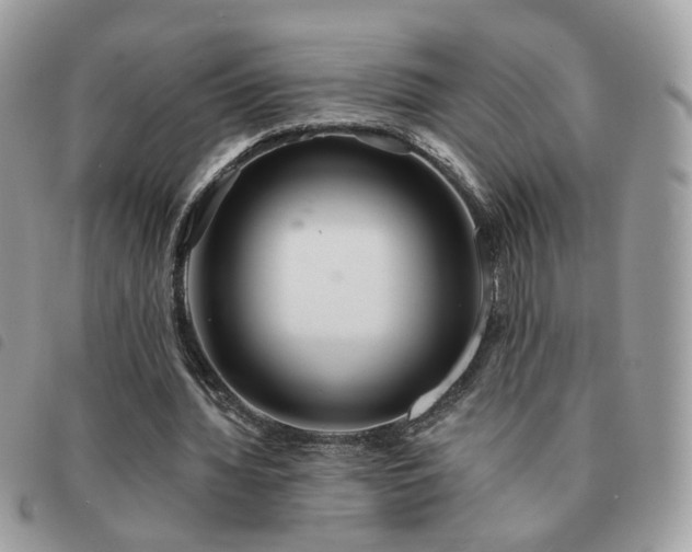 X0000091310436200708171419