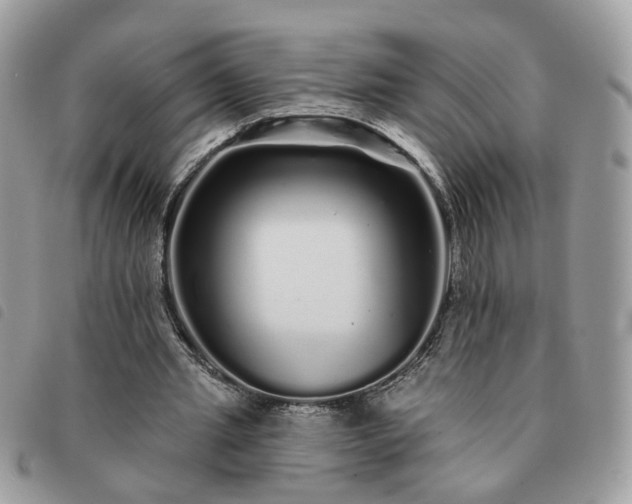 X0000091310437200708171419