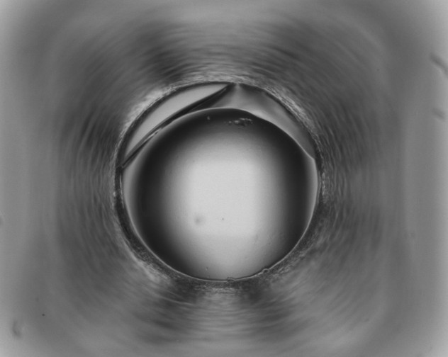 X0000091310438200708171419