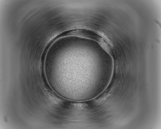 X0000091310439200708171419