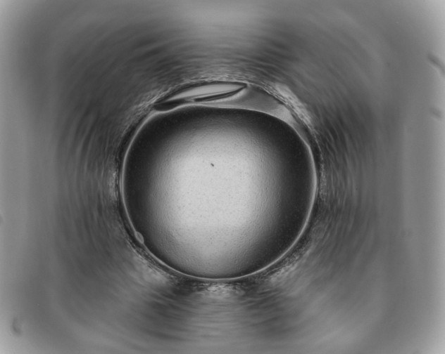 X0000091310441200708171419