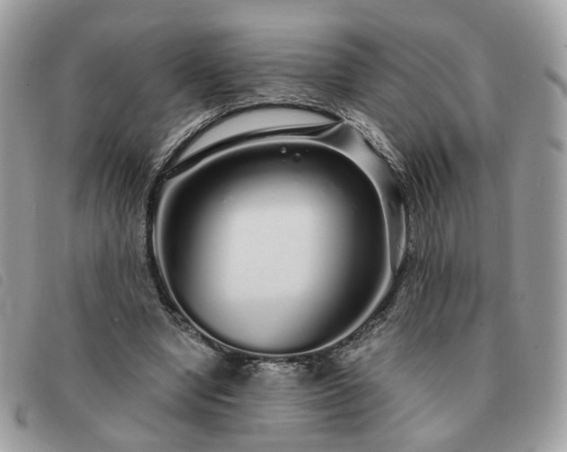 X0000091310442200708171420