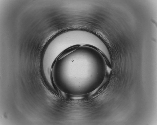 X0000091310444200708171420