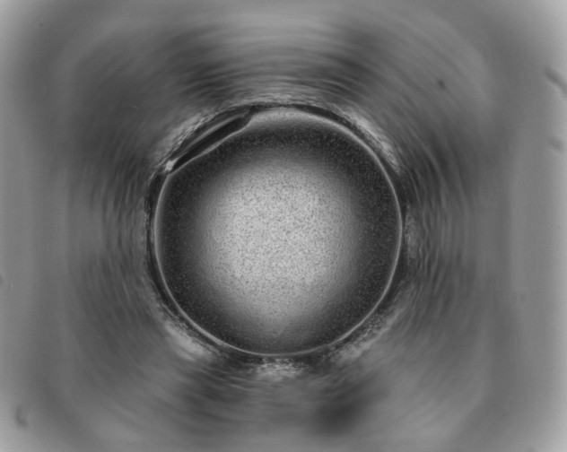 X0000091310445200708171420