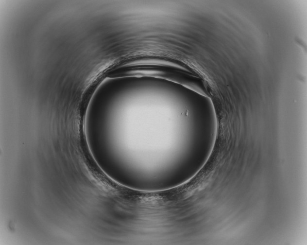 X0000091310446200708171420