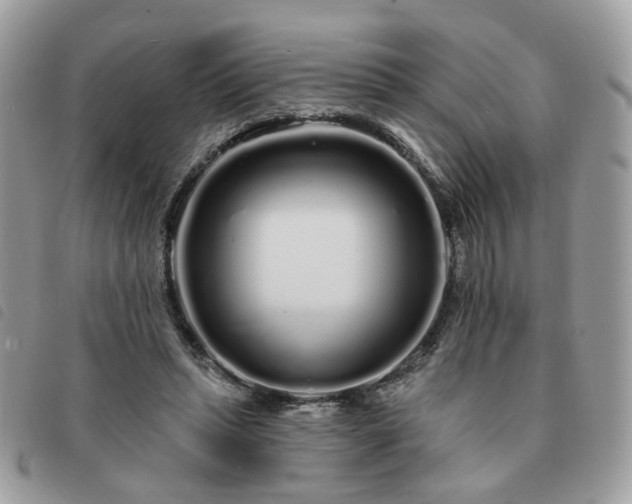 X0000091310447200708171420