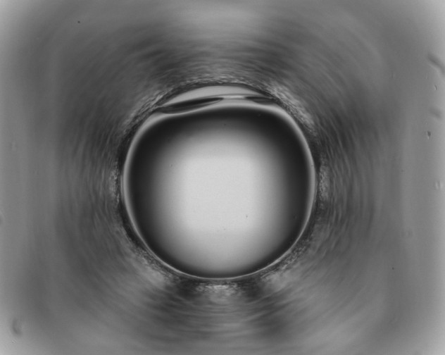 X0000091310449200708171420