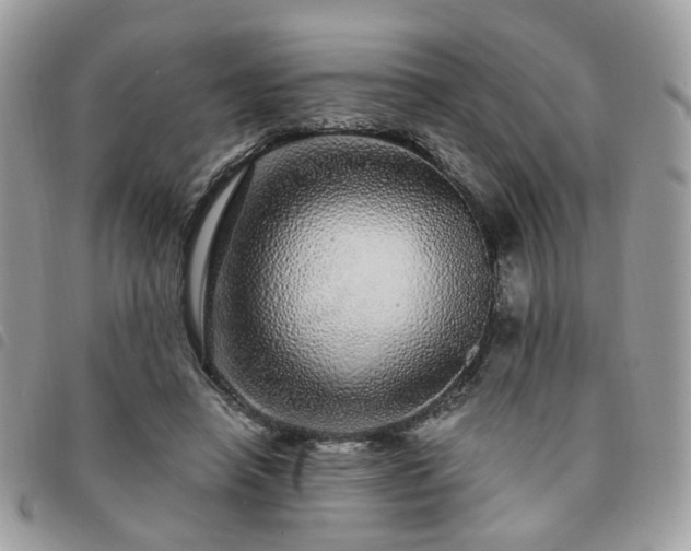 X0000091310450200708171420