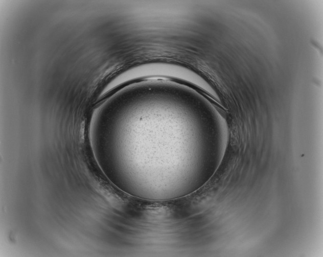 X0000091310454200708171420