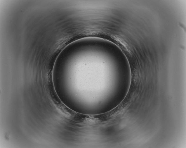 X0000091310455200708171420