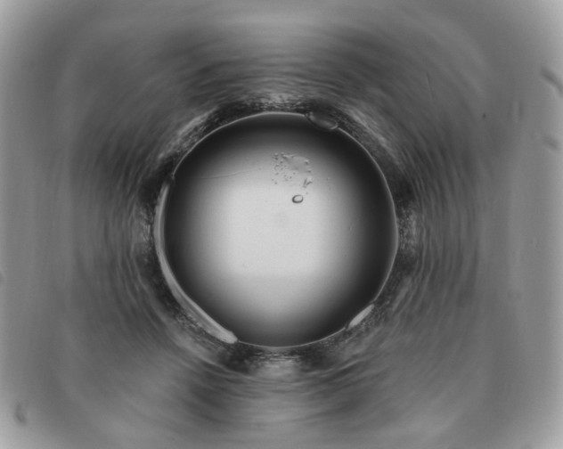 X0000091310456200708171420