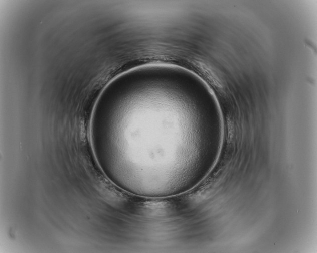 X0000091310457200708171420