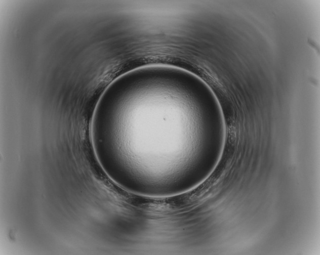 X0000091310458200708171420