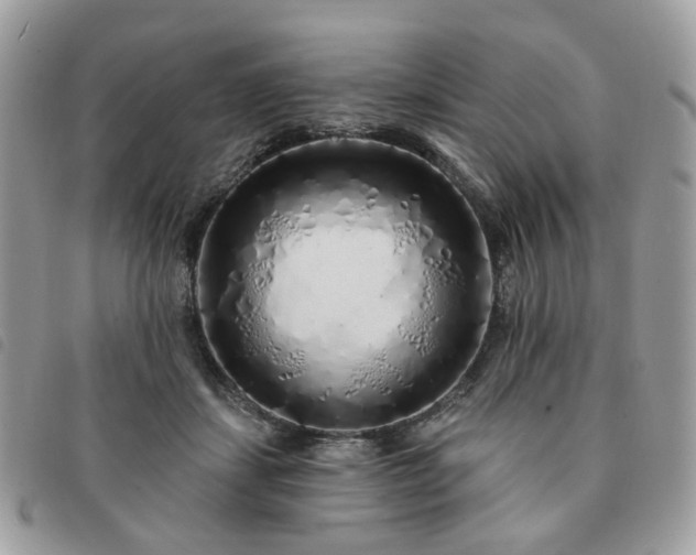 X0000091310459200708171420