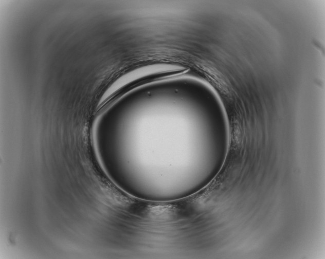 X0000091310461200708171420