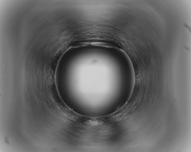 X0000091310464200708171420