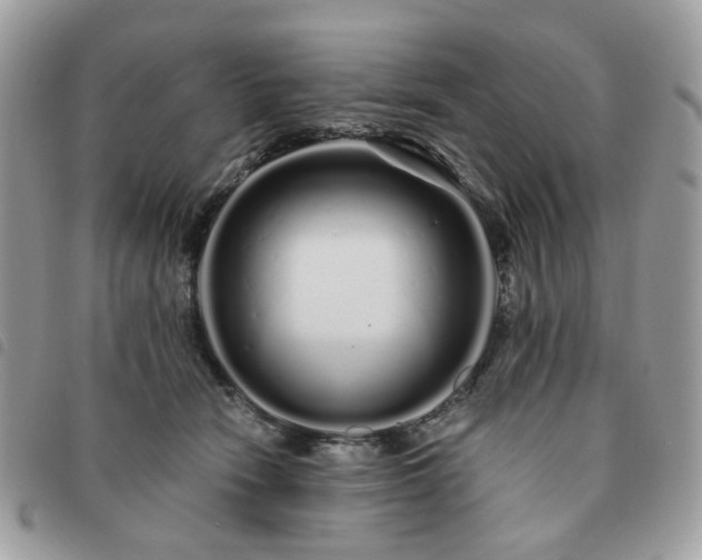 X0000091310466200708171420