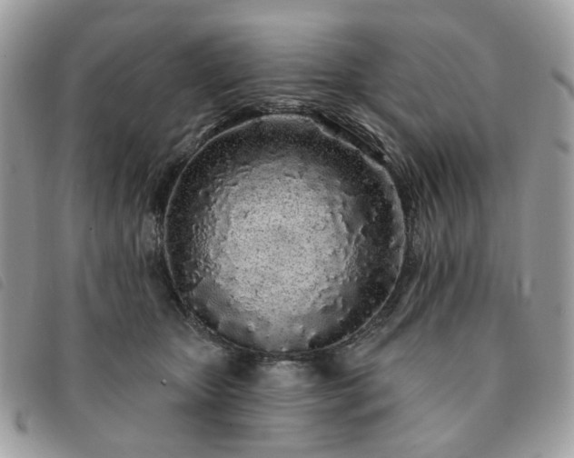 X0000091310467200708171420